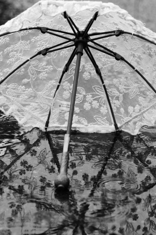 umbrella parasol water