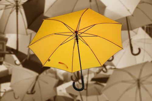 umbrella color atmosphere