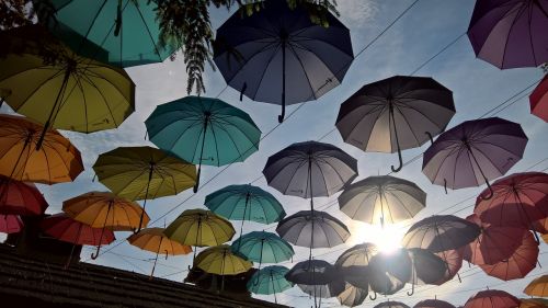 umbrella sunlight theme