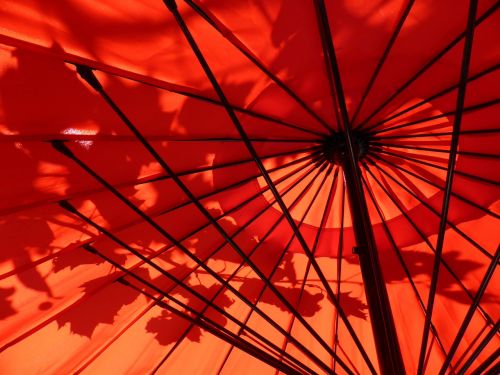 umbrella red weather