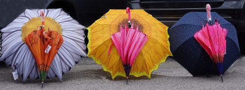 umbrella colourful designer