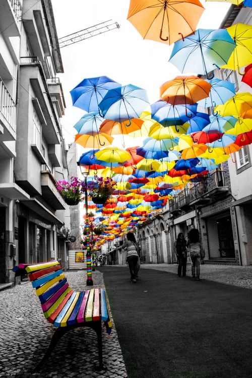 umbrella color street