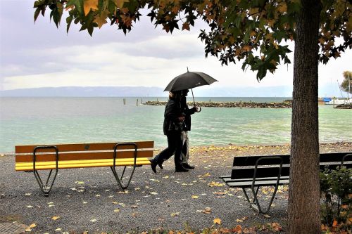 umbrella rain autumn