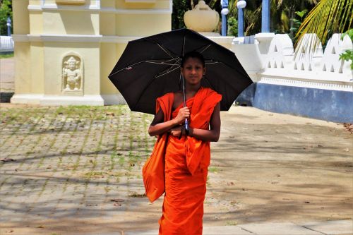 umbrella buddhist at the court of