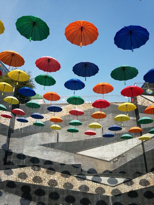 umbrella  color  travel