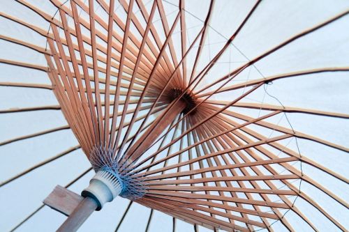 umbrella spokes canopy