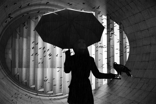 umbrella  bird  woman