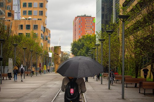 umbrella  outdoor  man