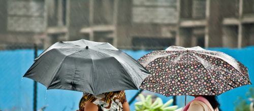 umbrella rain people