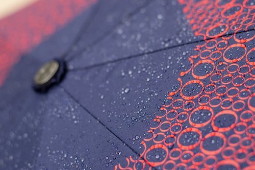 umbrella  rain  drops