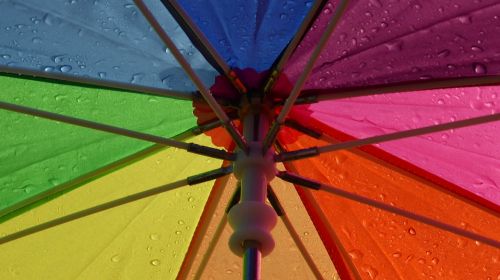 umbrella screen colorful