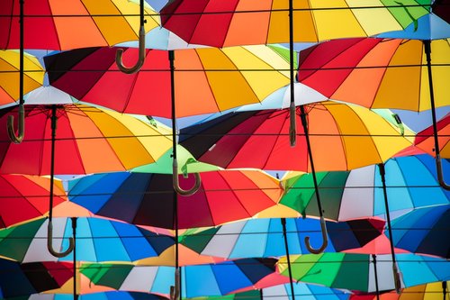 umbrella  color  colorful
