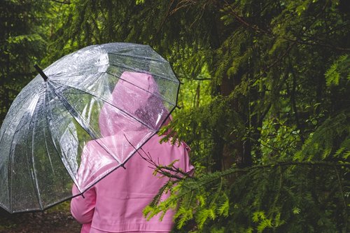 umbrella  transparent  woman