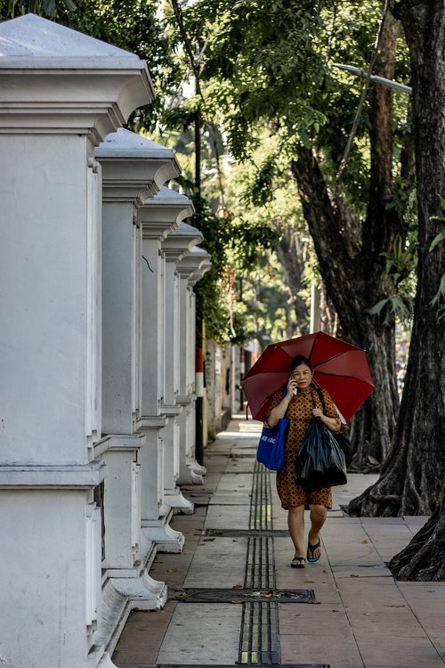 umbrella  woman  people