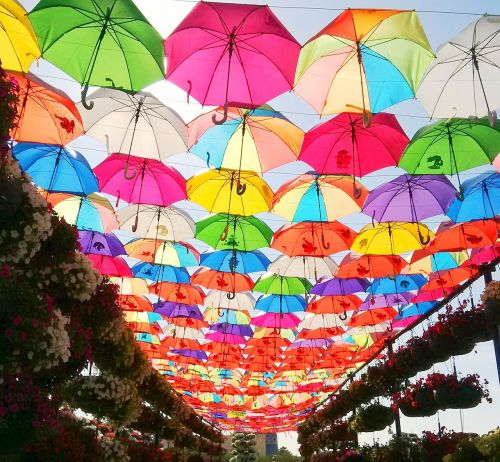 umbrella park colorful