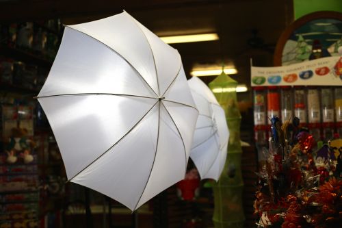 umbrella lights camera