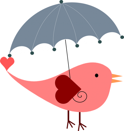 umbrella bird weather