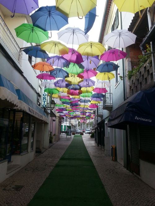 umbrella águeda agitagueda