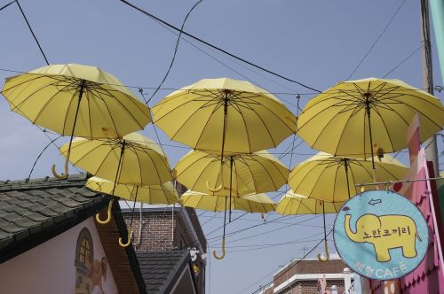 umbrella yellow street