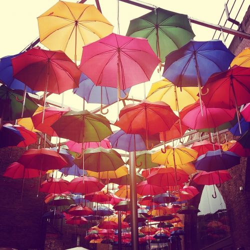 umbrella rain colors