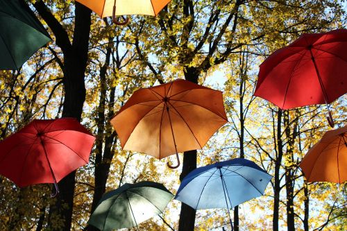 umbrellas sun trees