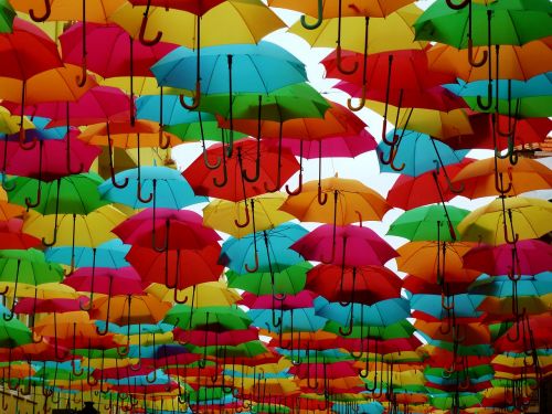 umbrellas colorful shade tree