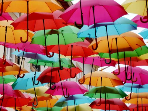 umbrellas colorful shade tree