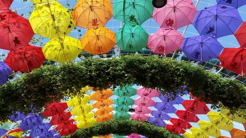 umbrellas arch garden