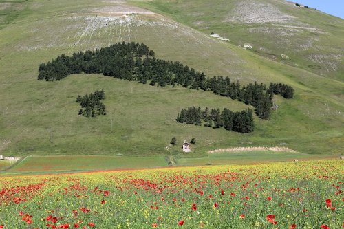 umbria  castelluccio  of