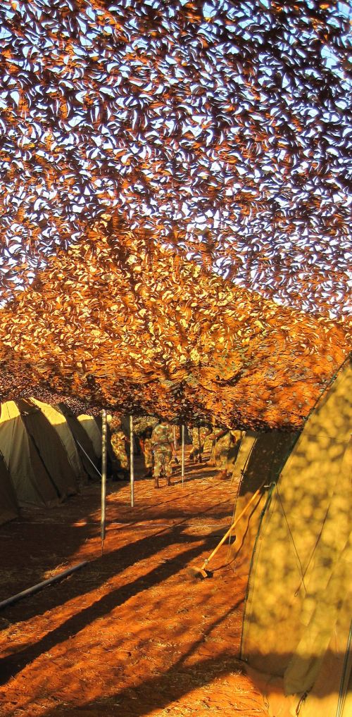 Under Camouflage Netting