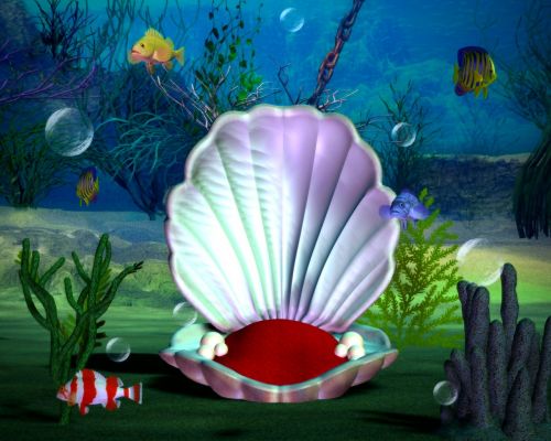 under sea mermaid clam shell