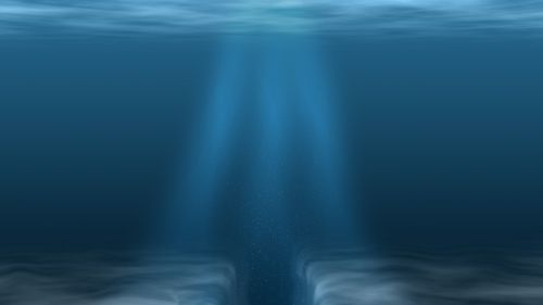 underwater sea ocean plankton
