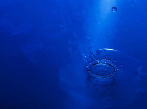 underwater desktop nature