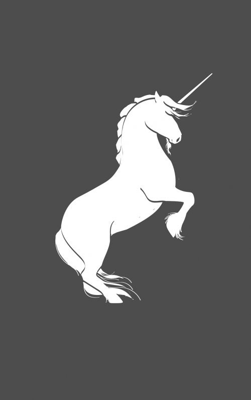 unicorn silhouette rearing