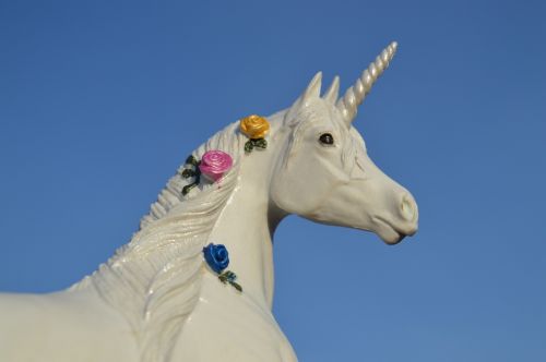 unicorn horse animal