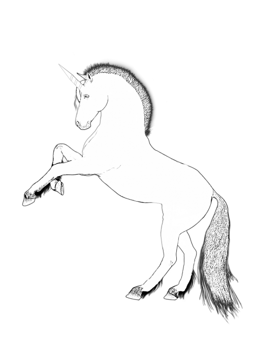 unicorn design horse