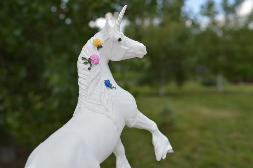 unicorn horse fantasy
