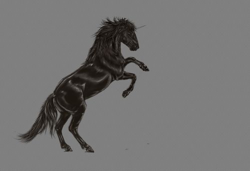 unicorn black horse