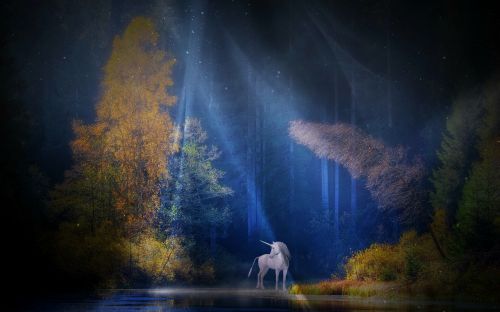 unicorn fairy tales mythical creatures