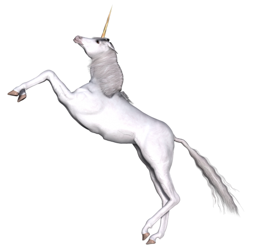unicorn fantasy fairy