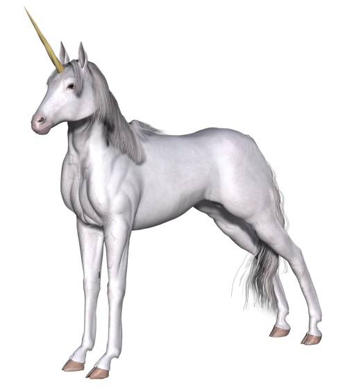 unicorn fantasy fairy