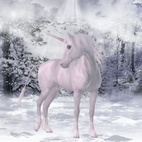 unicorn snow fairy tales