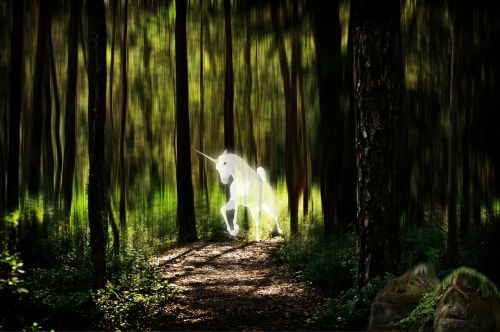 unicorn forest fantasy picture