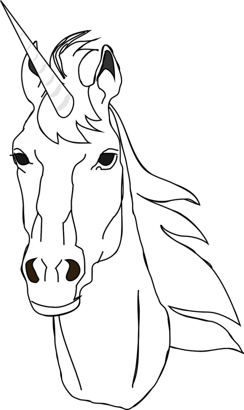 unicorn head horn