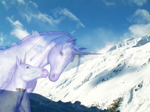 unicorn snow nature