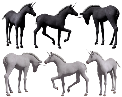 unicorn  fantasy  myth