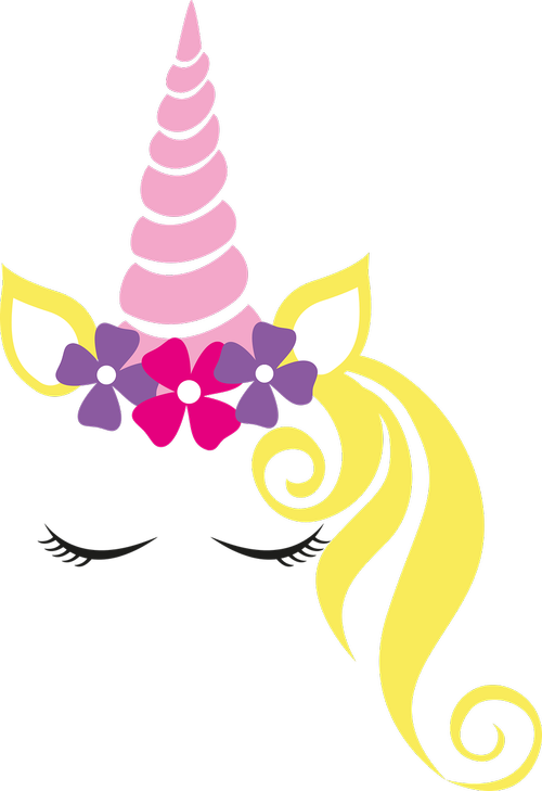 unicorn  unicorn crown  flower crown