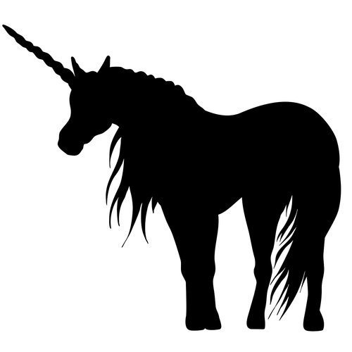 unicorn  shadow  pony