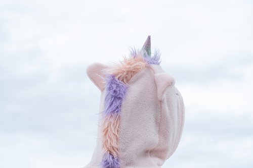 unicorn  costume  carnival