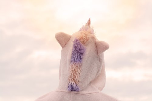 unicorn  sky  costume